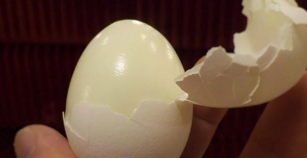 Как да сварим яйцата