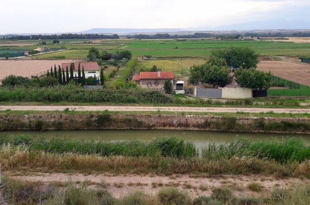 Как от кореняк софиянка се превърнах в селянка и заживях в село с 1500 души