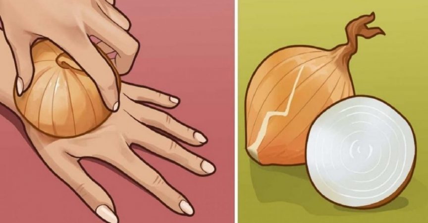 Лукът е източник на младост и най-силният клетъчен регенератор! (РЕЦЕПТИ)