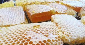 Билкарят дядо Митко на 95: Не купувайте мед а пита