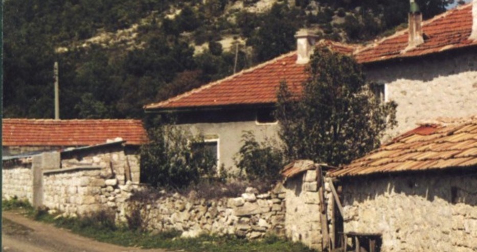 Имам достатъчно дърва