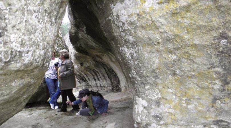 Извънземна скала цери дископатии и безплодие