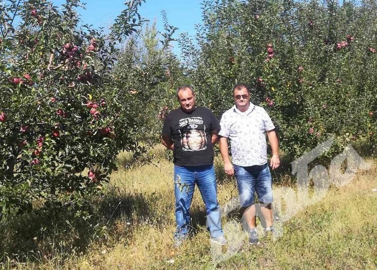 Двама предприемчиви българи наследиха запустяла земя