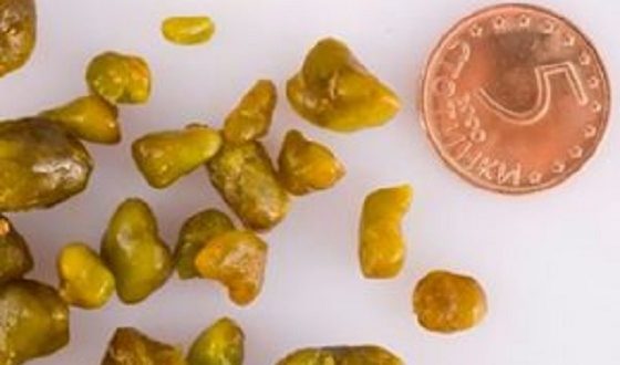 Дядо Иван от с.Чавдар дава безотказна рецепта за камъни в жлъчката