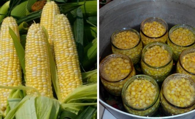 Вече не си купувам царевица в консерва а си правя сама по- вкусна е и знам че няма химикали никакви в нея