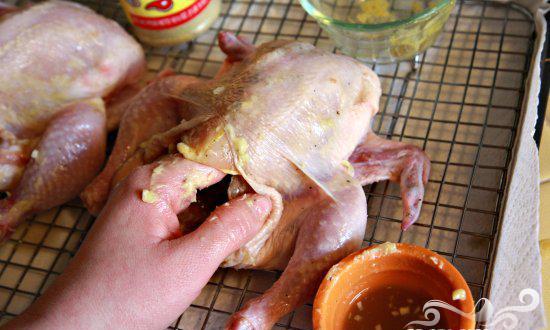  да изчистим купешкото пиле от антибиотиците 