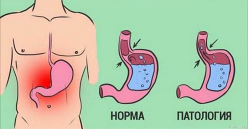 Семейният ни лекар е на 90 години! От него ги научих и ги спазвам: 3 позволени и 6 забранени неща след хранене