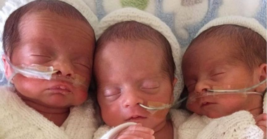 Тризнаци прекарват 6 седмици в интензивни грижи след раждането. Тогава лекарите правят ДНК тестове и са в пълен шок!