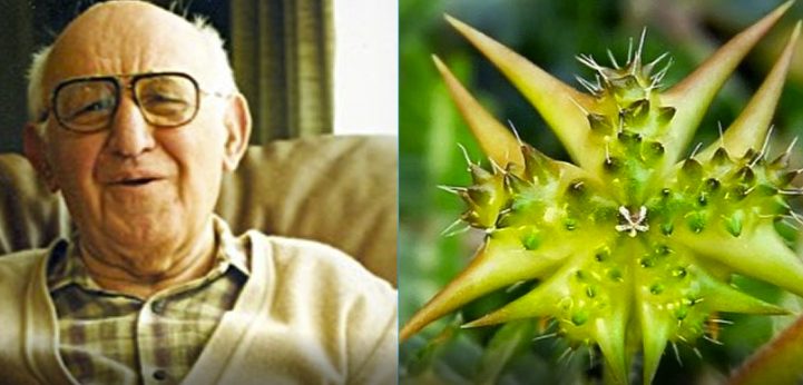 Тайната рецепта на Тодор Живков за здраво сърце и потентност завещана от билкаря Борис Николов