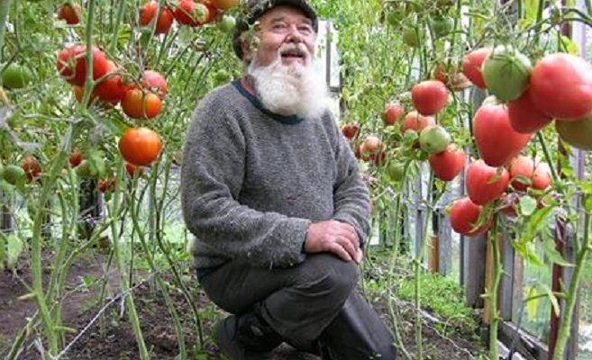 Съвети от стар градинар които ще Ви помогнат да имате градина за пример без да ползвате изкуствени торове и отрови!