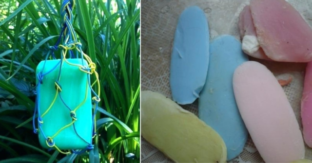 Безопасен метод срещу вредители – необходим ви е само сапун