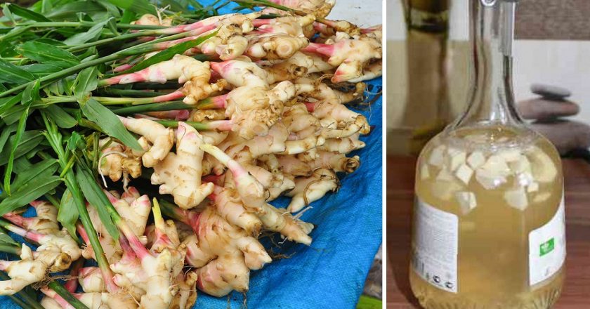 Имунитетът ми се вдигна до небесата а стрелката на кантара лети надолу!