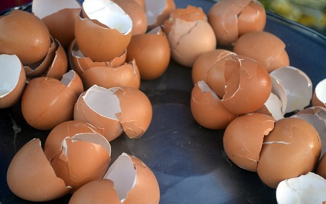 Видях че една приятелка събира черупки от яйца. Отначало ми се видя странно но след като разбрах какво прави…