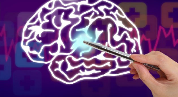 Коронавирусът и мозъка