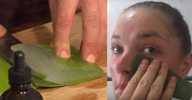 Втривайте алое вера в лицето си и резултатите ще са страхотни