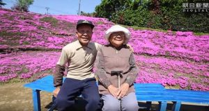 Любящ мъж 2 години превръщал поле в цветна градина за да види пак усмивката на жена си