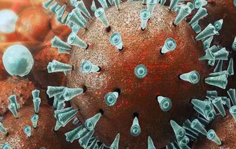 D614G – новата мутация на COVID-19 десет пъти по-заразна!