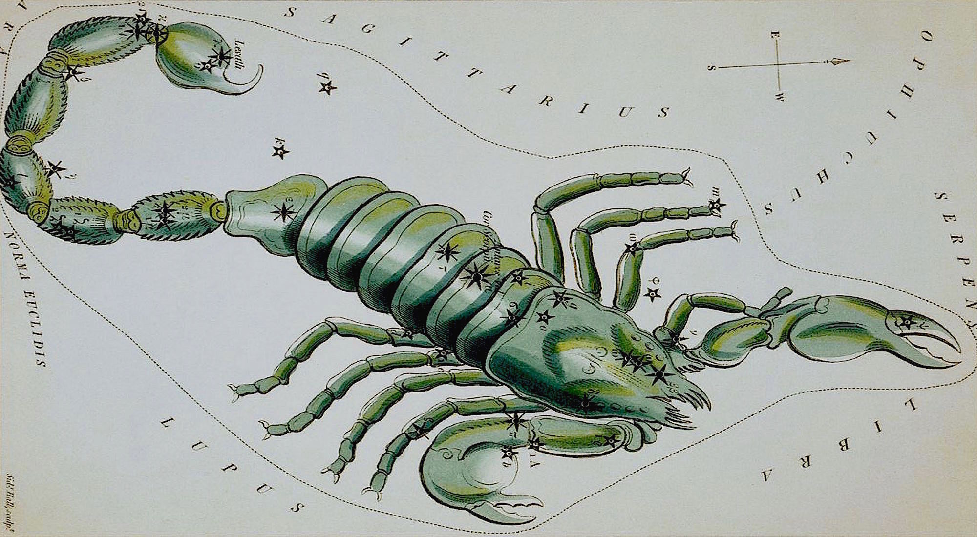 10 от най-силните качества на Скорпиона
