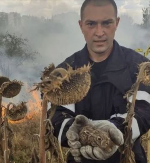 Тодор Колев от Разград