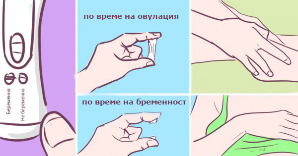 Първи признаци на бременността които не всяка жена знае