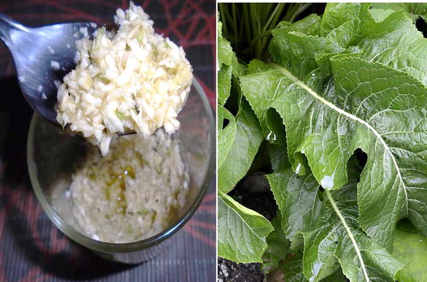 Какви са ползите от хряна и как да го използваме правилно?