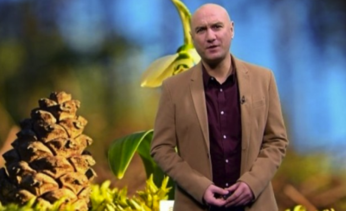 Емо Чолаков прибира 5 бона от новата си работа вече дори не се сеща за телевизията