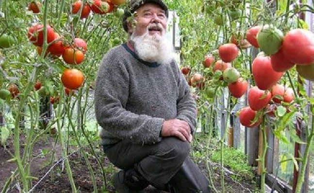 Най-добрите съвети от стар градинар