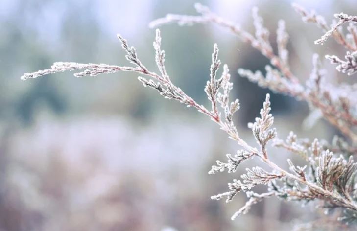 НИМХ огласи прогнозата си за февруари необикновена е!