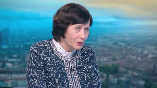 Проф. Корсун: Досега няма доказани грипни вируси