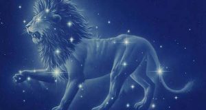 Силни и решителни! 20 факта за зодия Лъв
