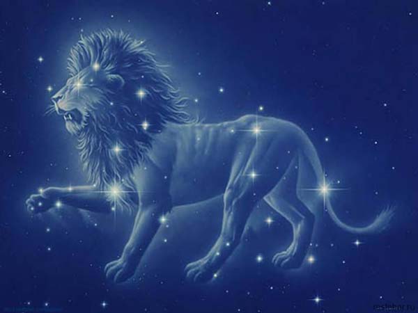 Силни и решителни! 20 факта за зодия Лъв