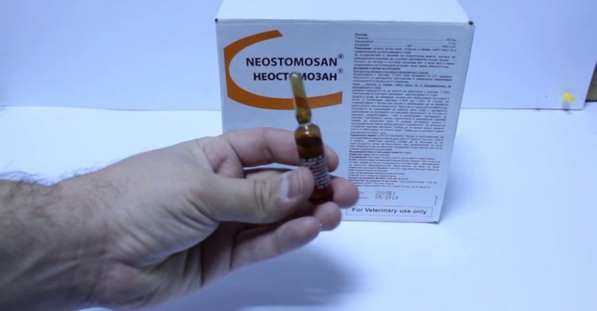 Най-ефикасното средство против въшки! Купува се от ветеринарната и струва 2 лева!