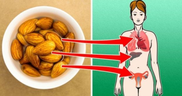 4 неща които се случват с тялото ви ако започнете да ядете бадеми всеки ден
