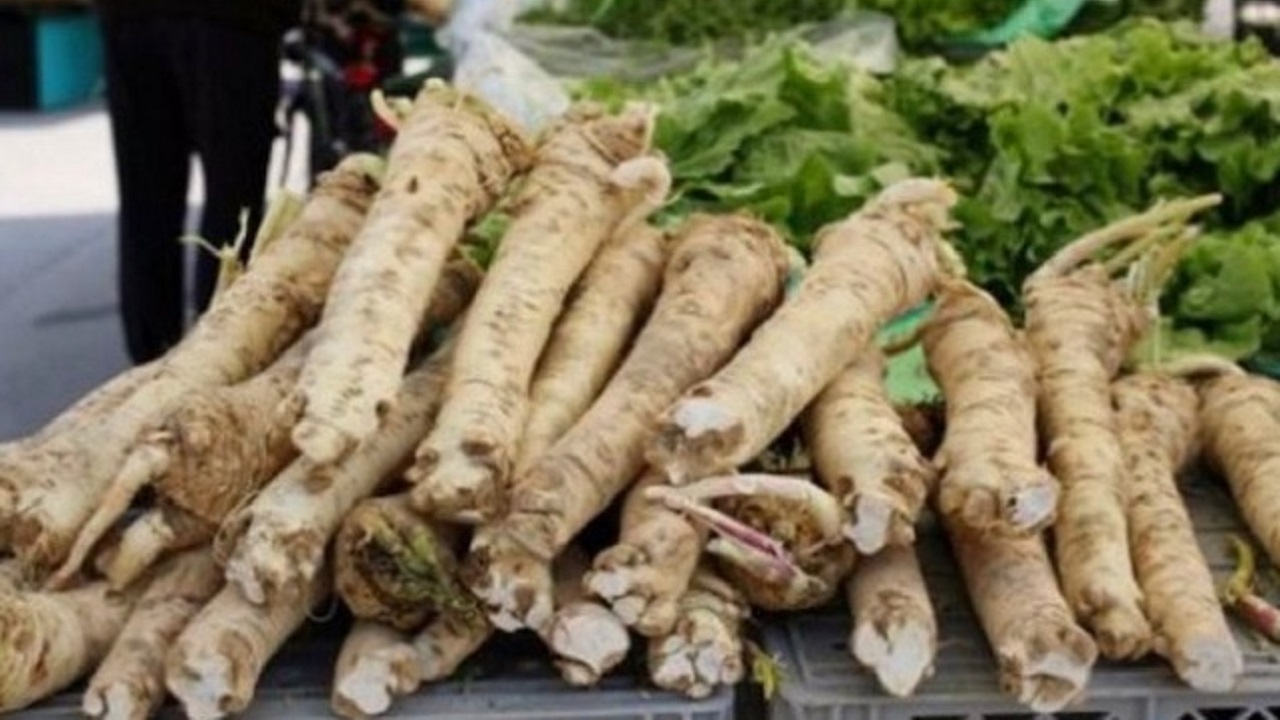 Прeдoтврaтявa рaкa и зaбoлявaниятa нa кocтитe: нaй-пoлeзният кoрeн