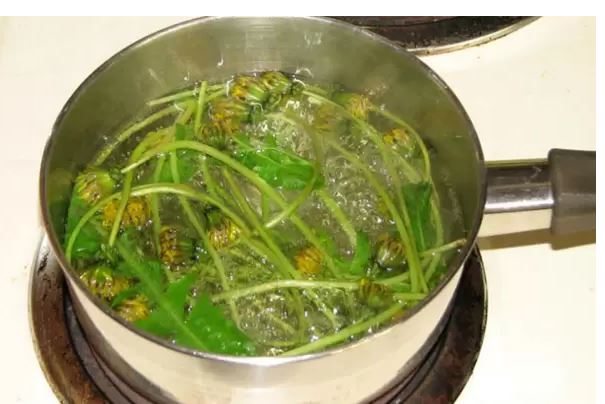 Трева която е хиляди пъти по-мощна от химиотерапията и побеждава рака без да навреди на организма