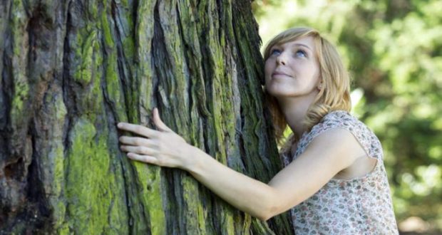 9 дървета с бяла енергия които ще прогонят всяко зло от къщата: