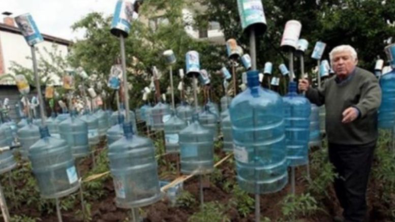 Дядо Марин от Горубляне показа как се прави оранжерия от пластмасови бутилки – доматите зреят цял месец по-бързо!