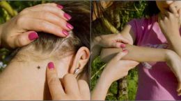 Забравете за Айкъна и другите химии от аптеките! Ето как да се спасите от кърлежите тази година: